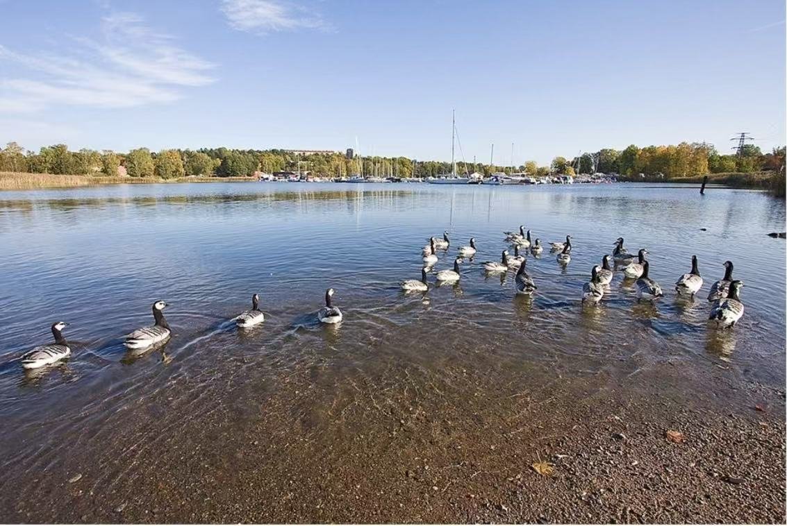 3 rok · 59 m² i Lidingö – bild 14