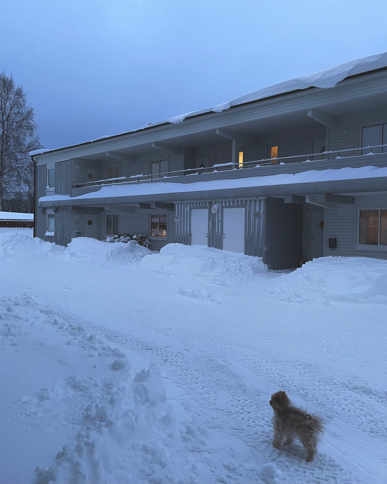 3 rok · 70 m² i Skellefteå – bild 28