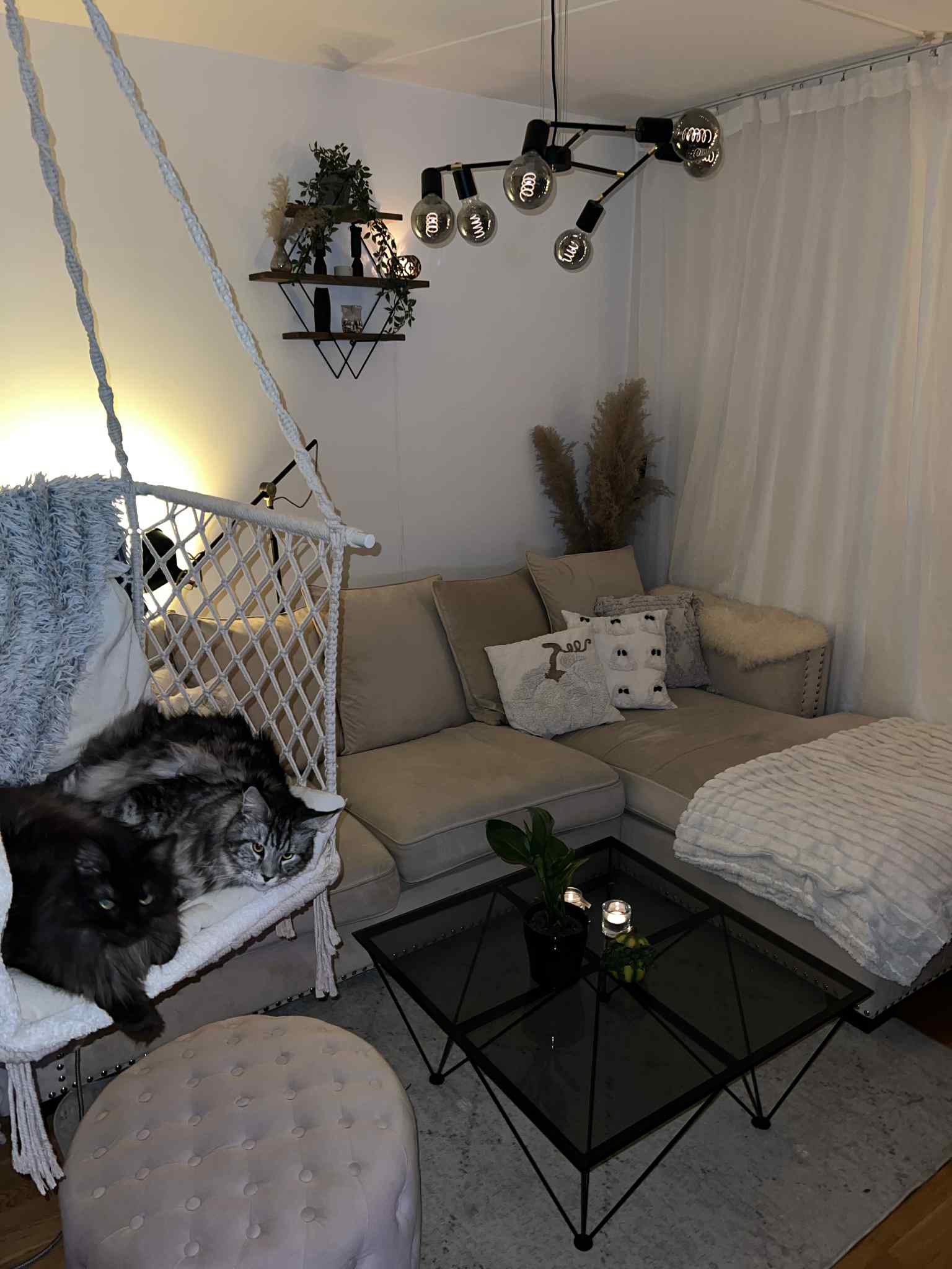 Lägenhet, 1 rooms, 20 sqm, Malmö – bild 9