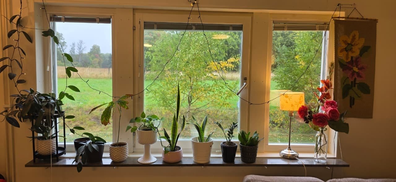 2 rok · 40 m² i Uppsala – bild 8