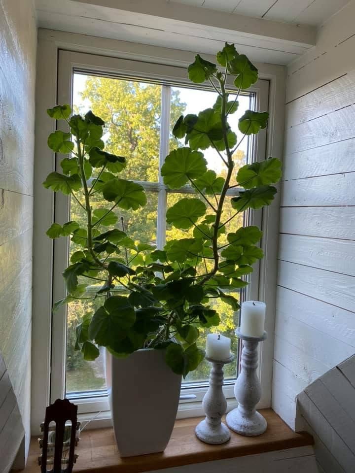 Lägenhet, 3 rooms, 40 sqm, Stocksund – bild 3