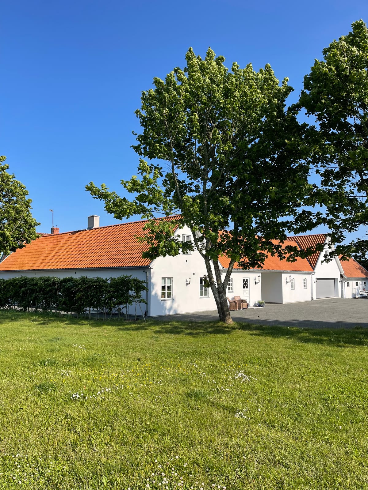 1 rok · 30 m² i Kivik – bild 2