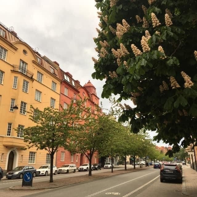 Lägenhet, 1 rooms, 13 sqm, Sundbyberg – bild 23