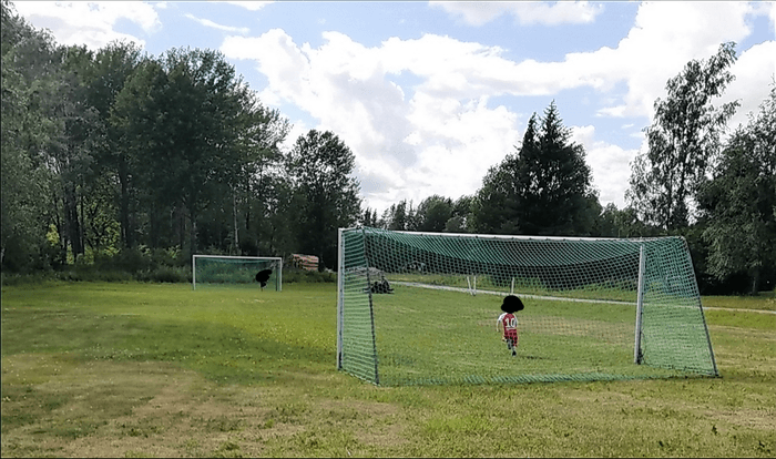 4 rok · 60 m² i Vätö – bild 17