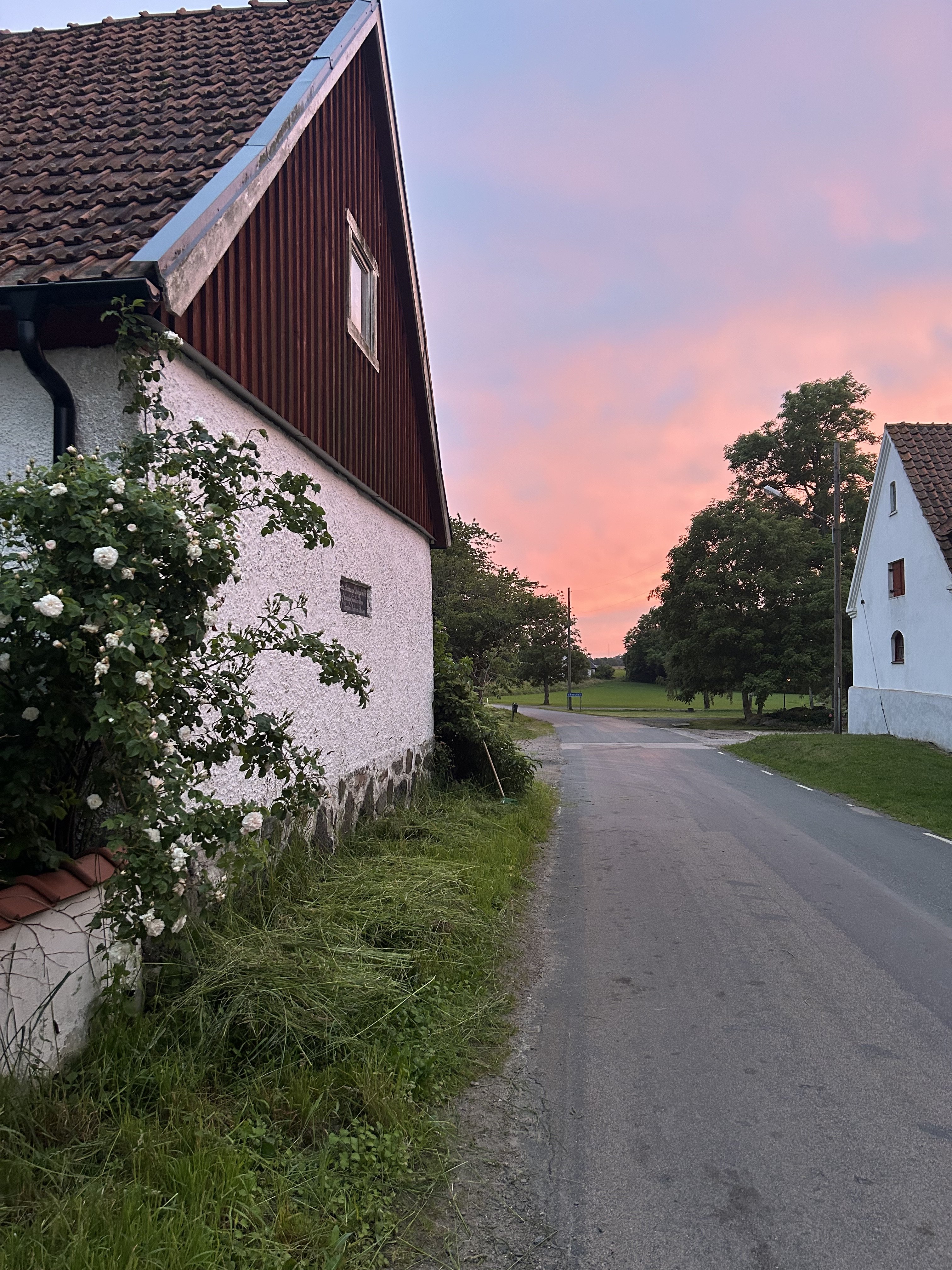 Villa/Hus, 4 rooms, 118 sqm, Smedstorp – bild 18
