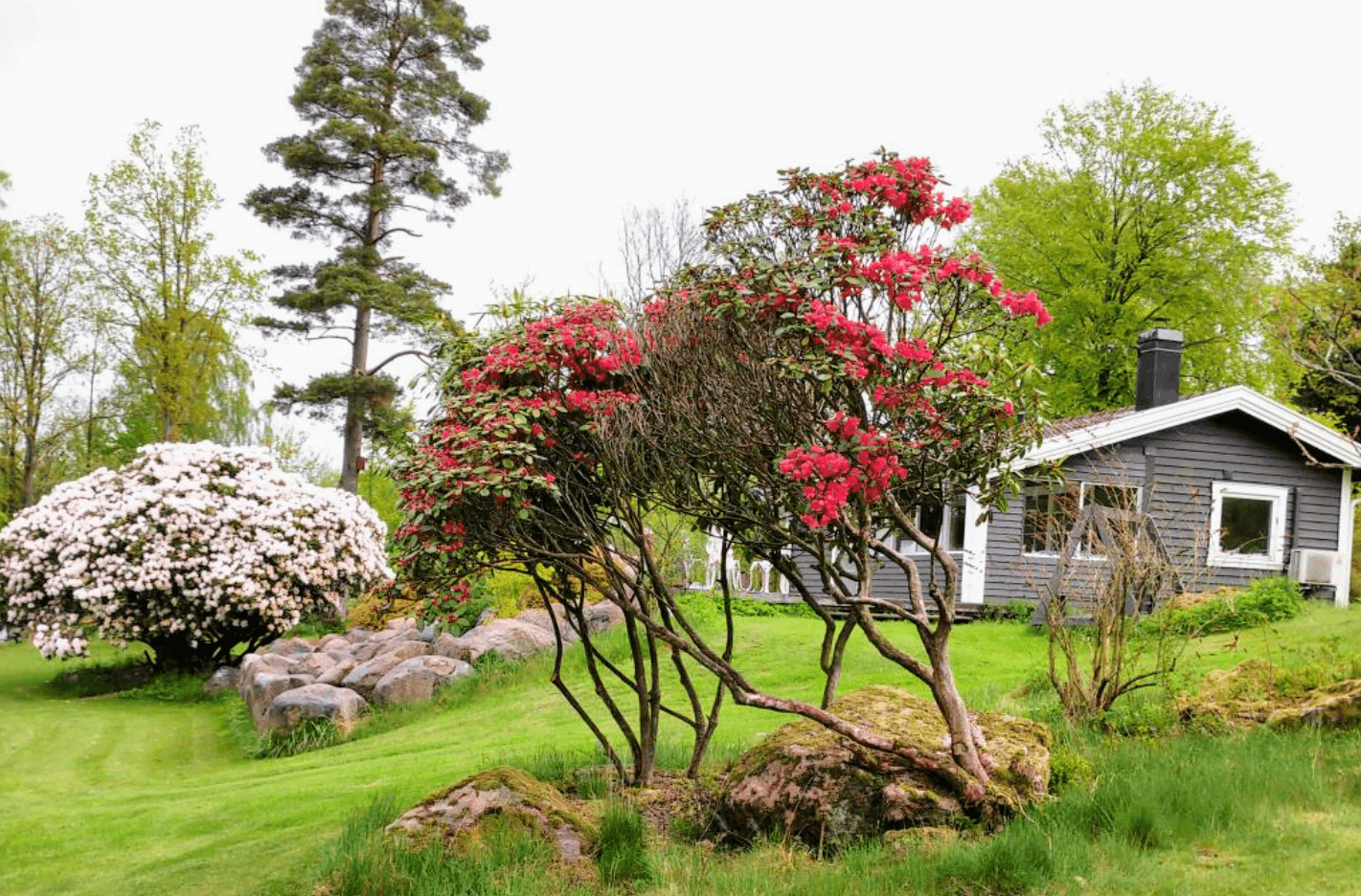 4 rok · 68 m² i Tvååker – bild 5