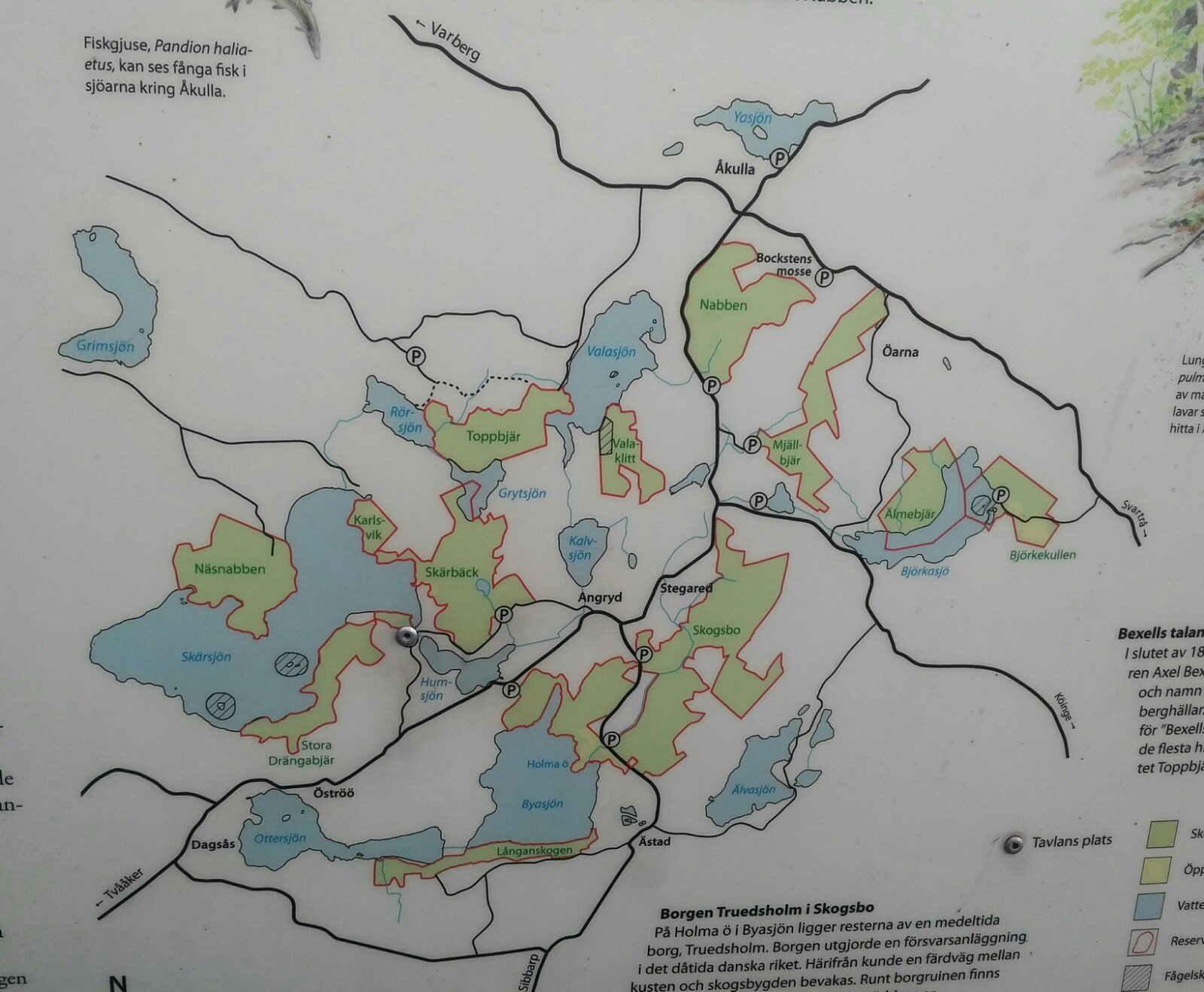 2 rok · 18 m² i Tvååker – bild 18