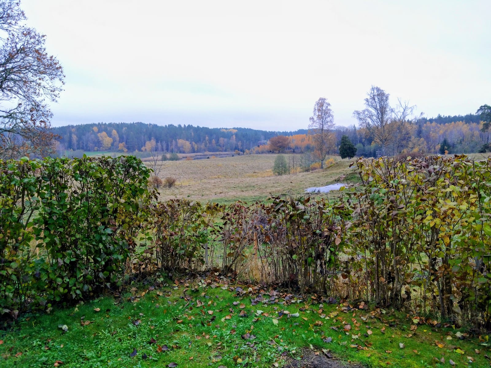 2 rok · 47 m² i Björnlunda – bild 14