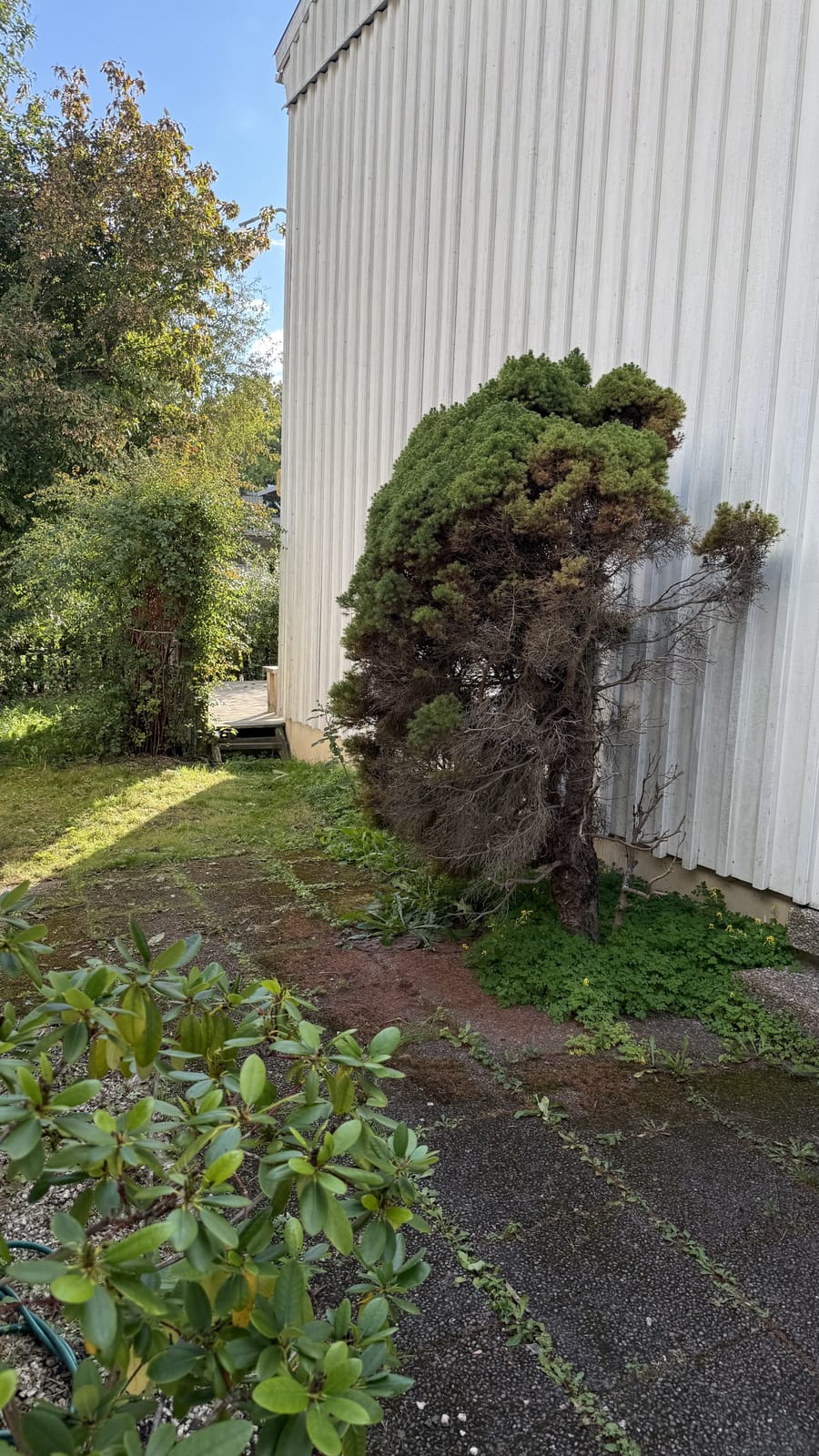 3 rok · 86 m² i Kista – bild 3