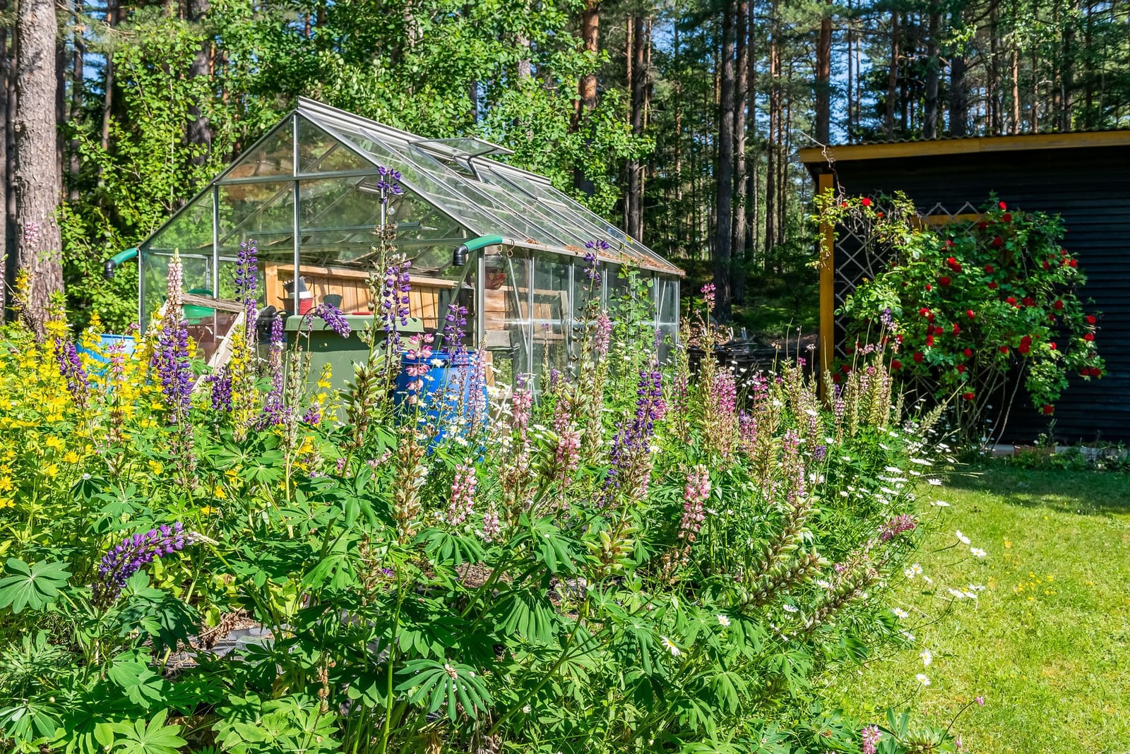 2 rok · 50 m² i Vikbolandet – bild 13