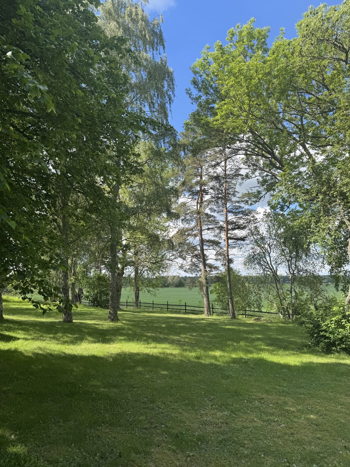 2 rok · 60 m² i Knivsta – bild 11