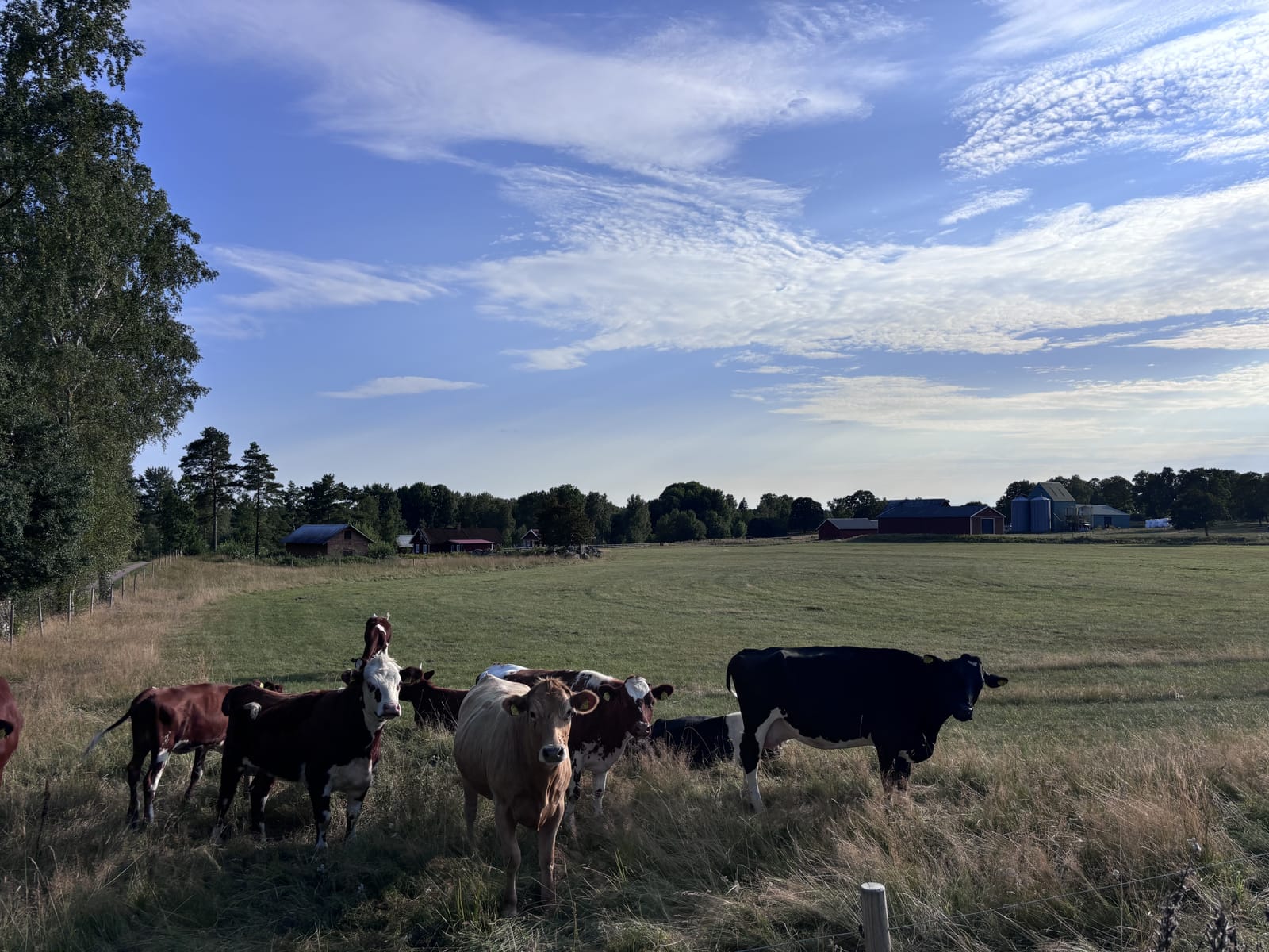 4 rok · 100 m² i Skövde – bild 23