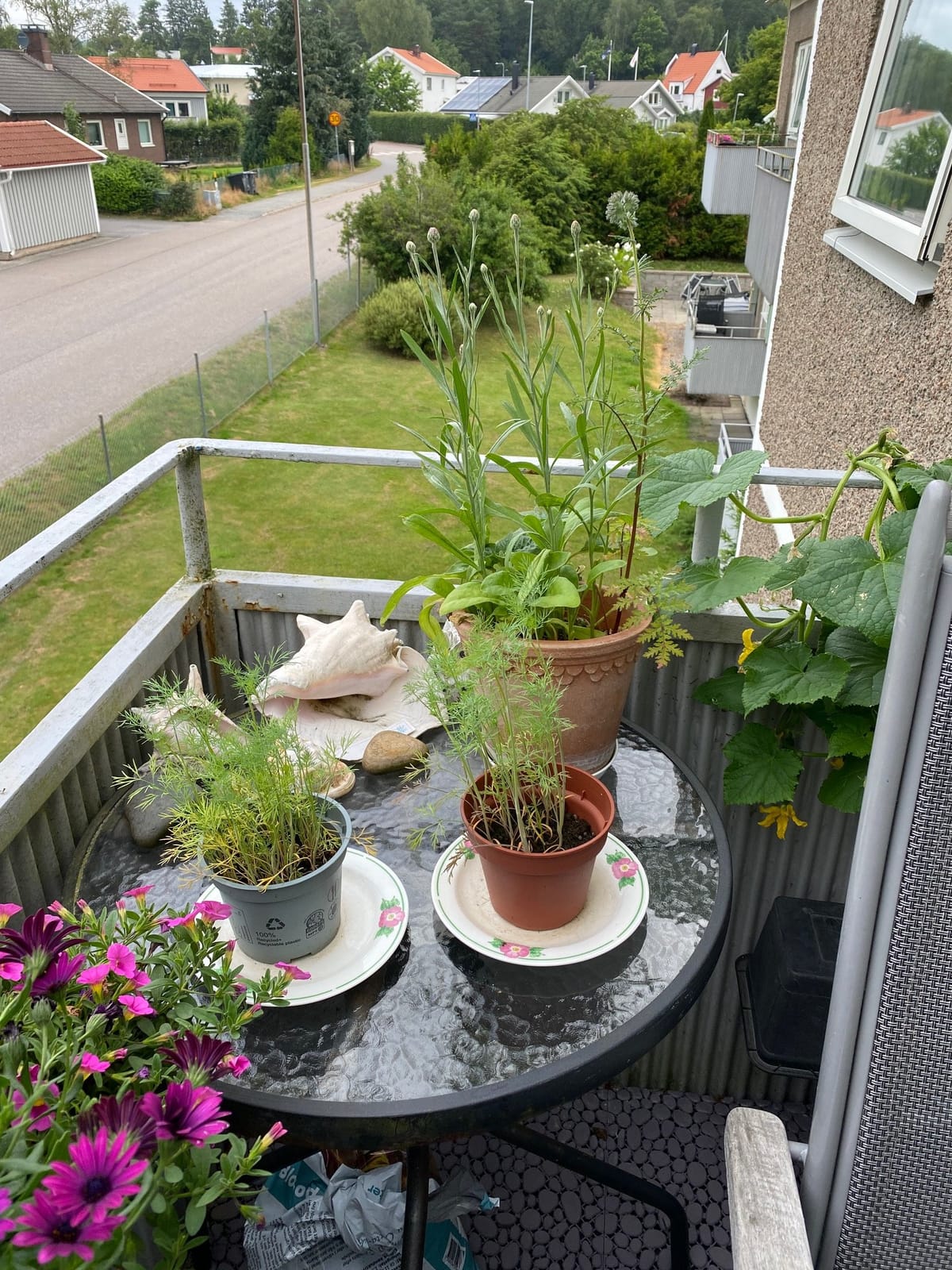 2 rok · 55 m² i Gråbo – Gråbo