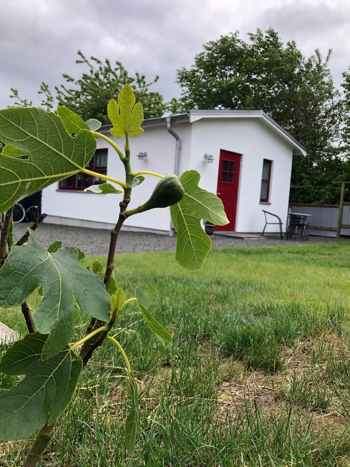 1 rok · 25 m² i Brantevik – Brantevik
