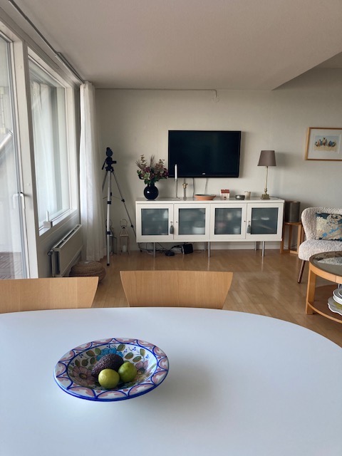 3 rok · 60 m² i Visby – bild 3