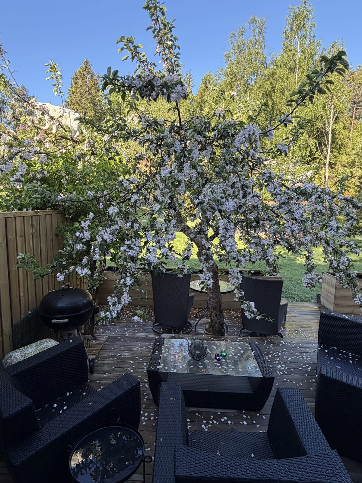 2 rok · 67 m² i Gnesta – bild 7