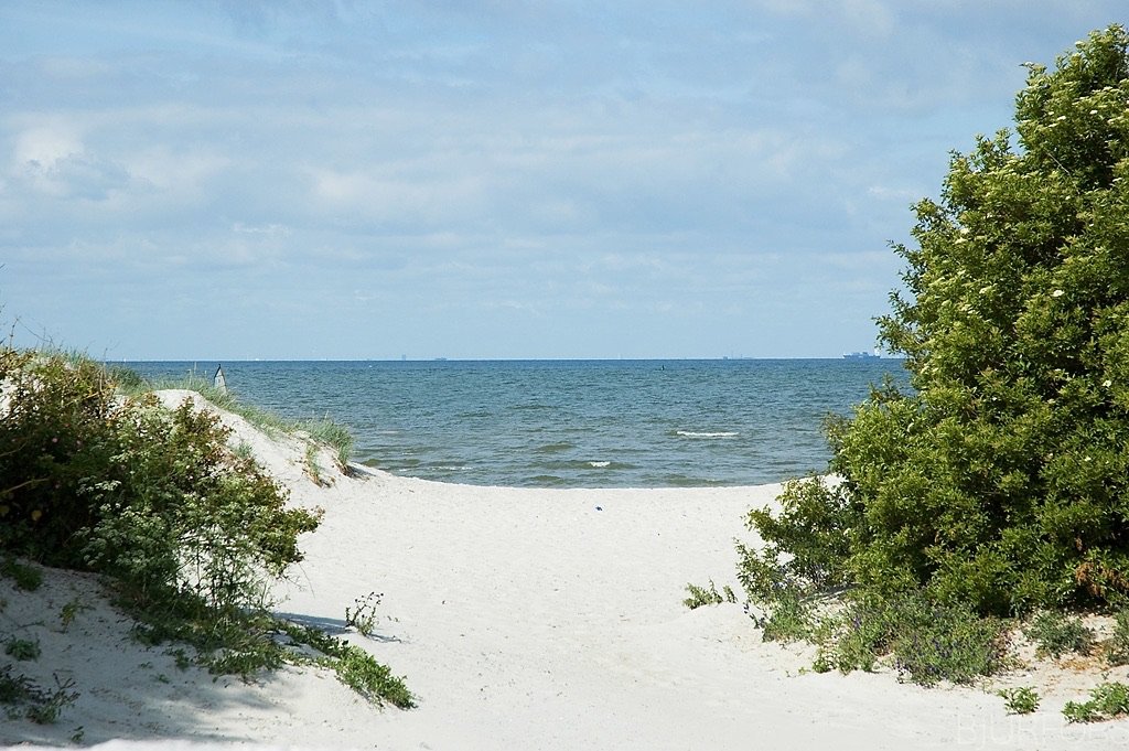 4 rok · 130 m² i Lomma – bild 20