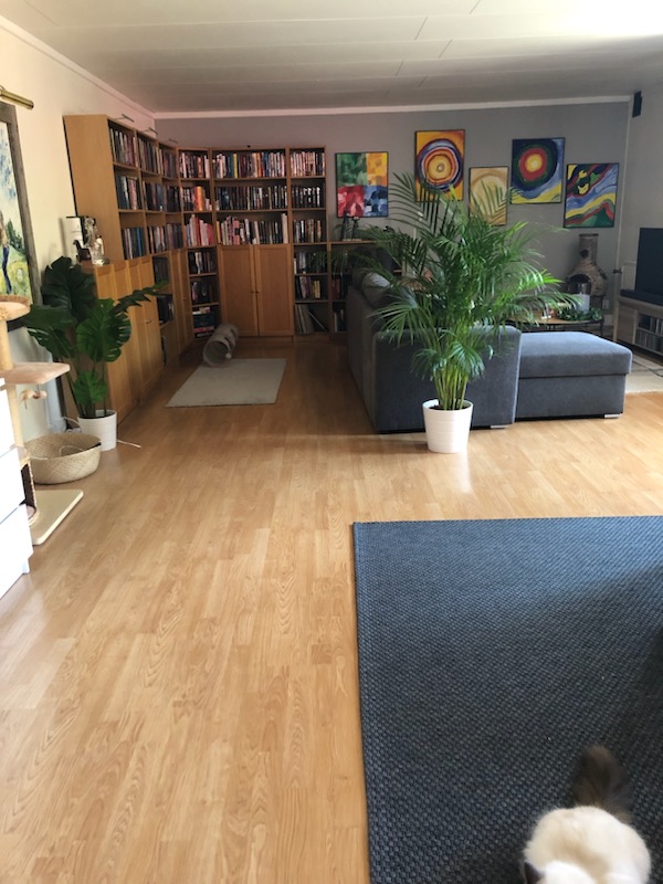 Lägenhet, 3 rooms, 89 sqm, Ljungbyhed – bild 7