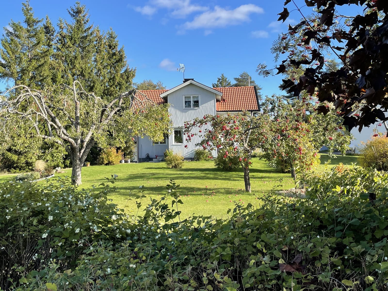 4 rok · 60 m² i Harbo – Harbo