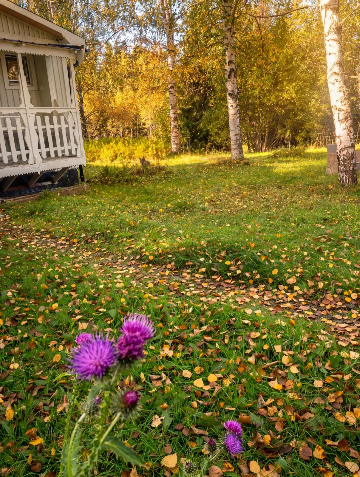 4 rok · 90 m² i Sollefteå – bild 9