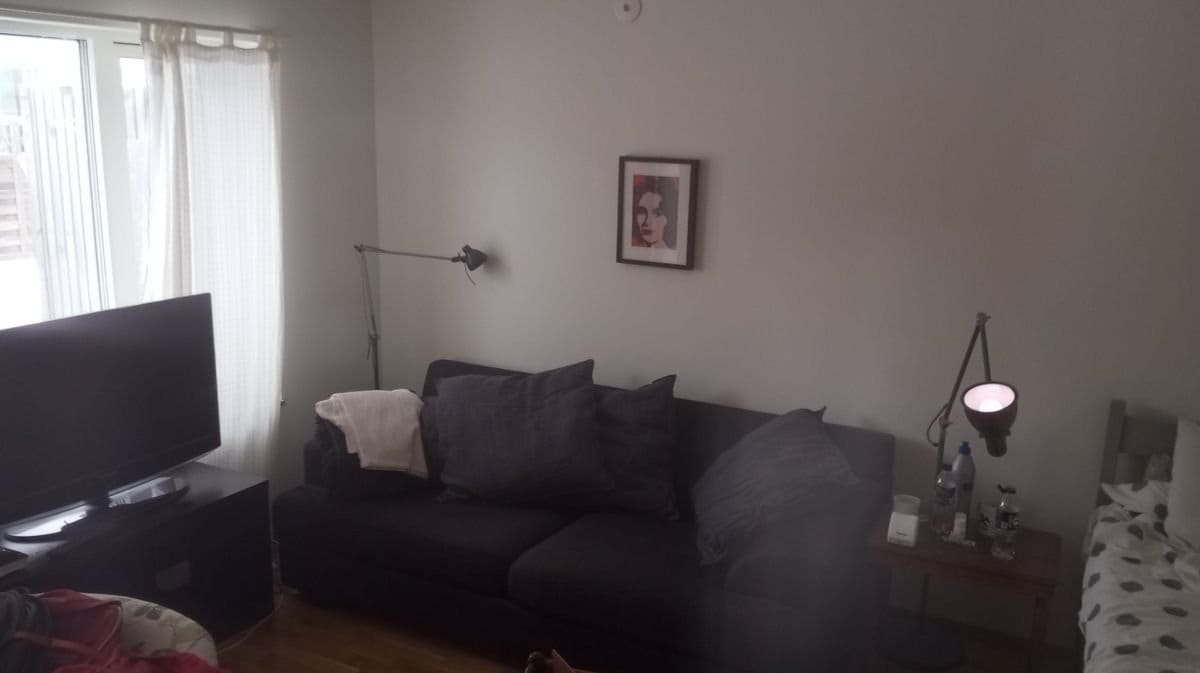 1 rok · 40 m² i Lund – bild 2