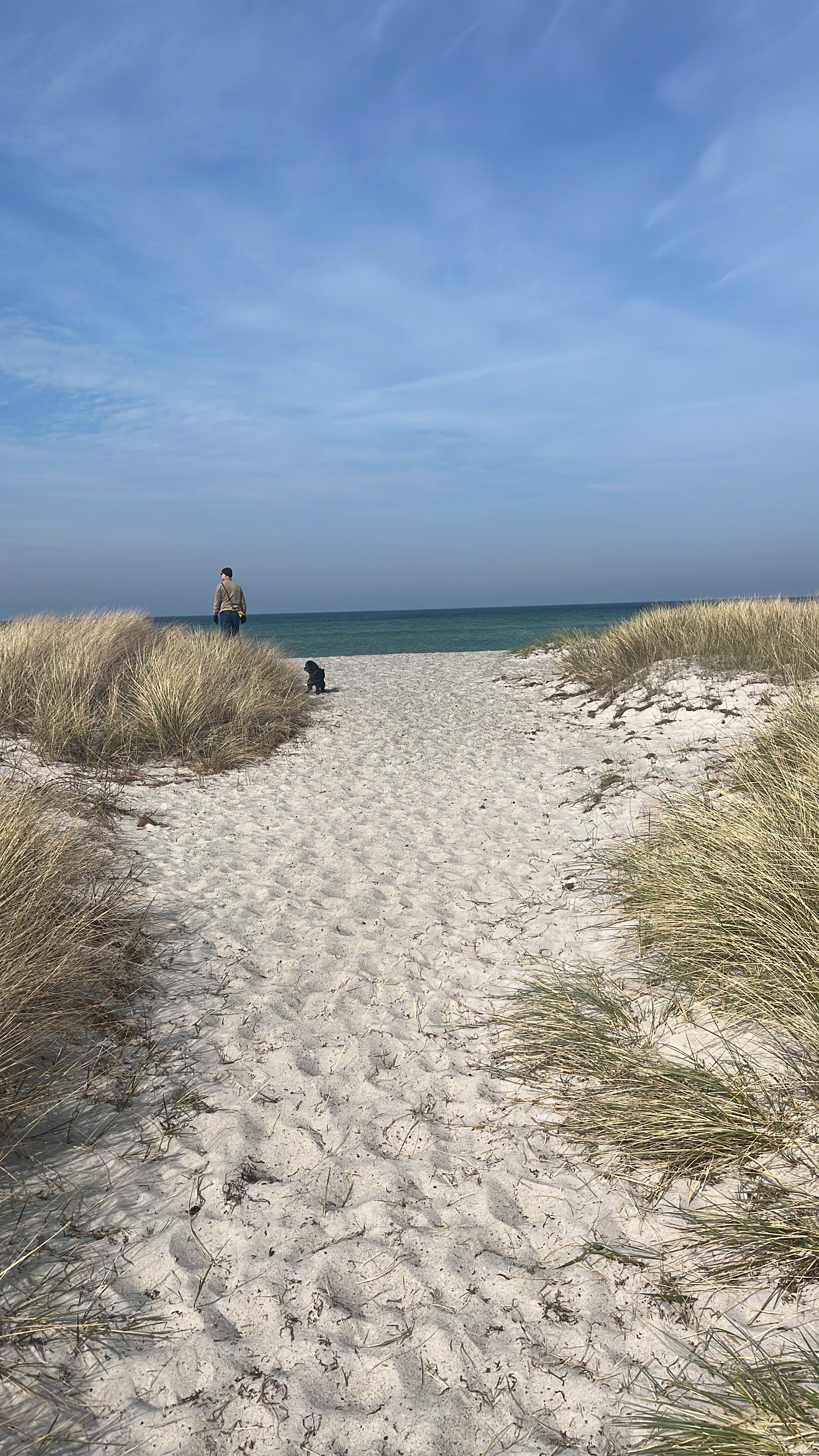 Villa/Hus, 6 rooms, 150 sqm, Falsterbo – bild 2