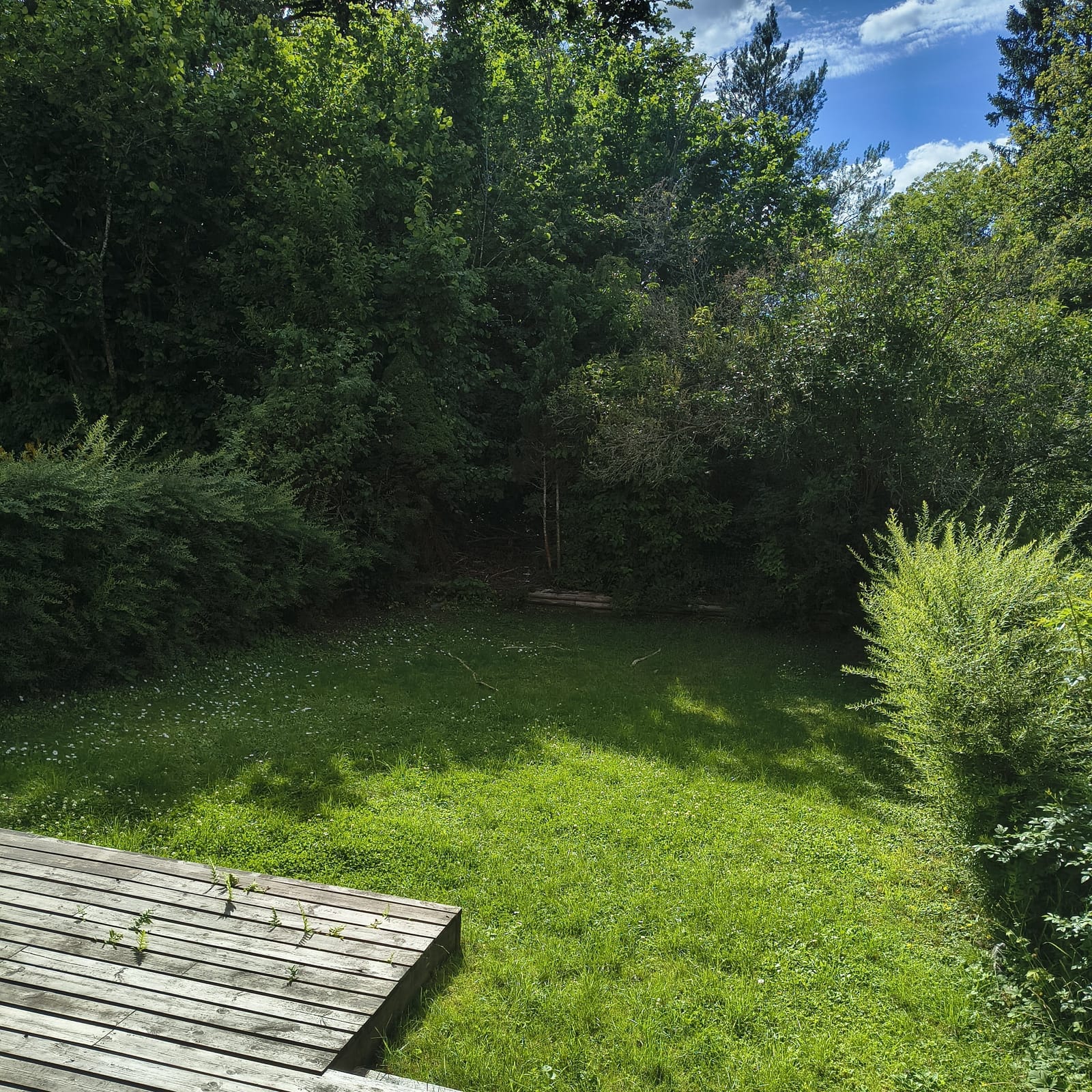 5 rok · 128 m² i Skärholmen – bild 7
