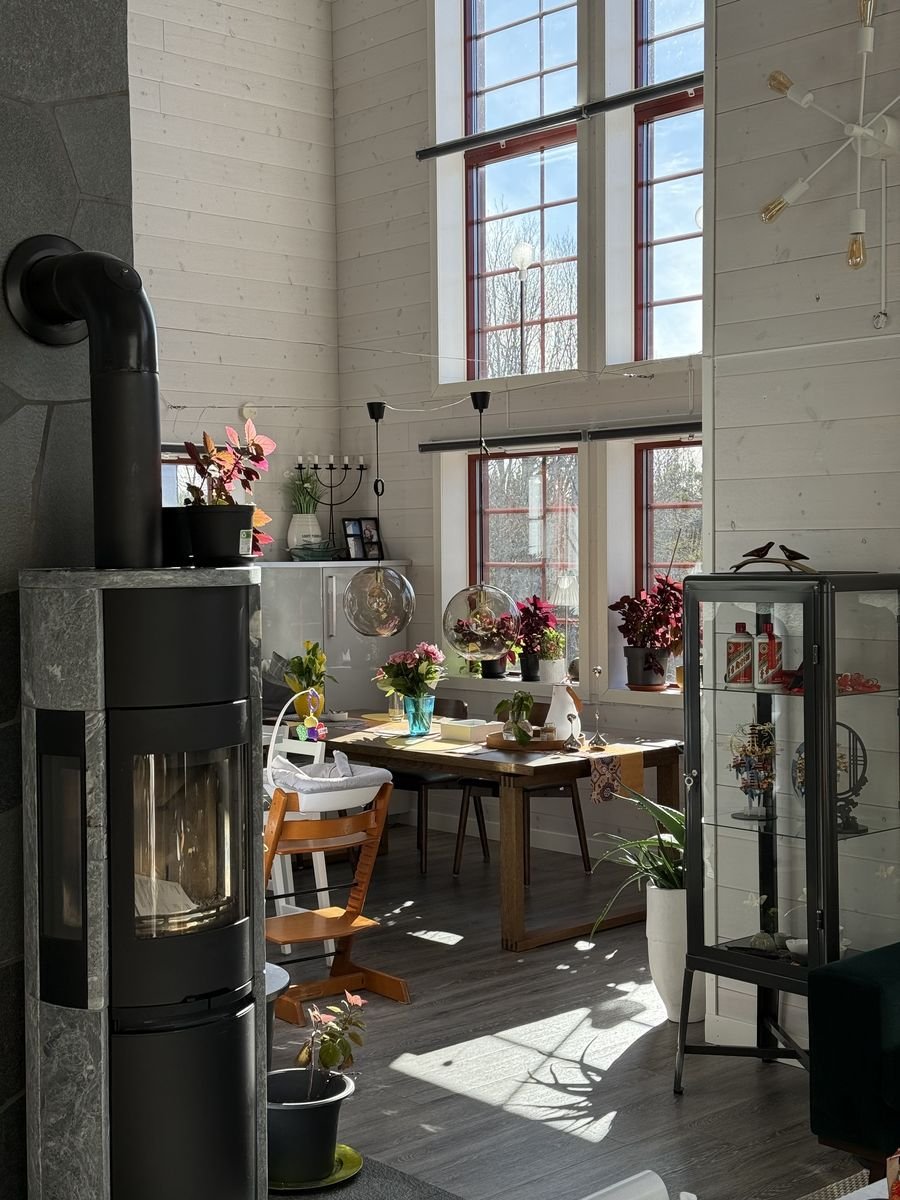 Villa/Hus, 4 rooms, 180 sqm, Offerdal – bild 5