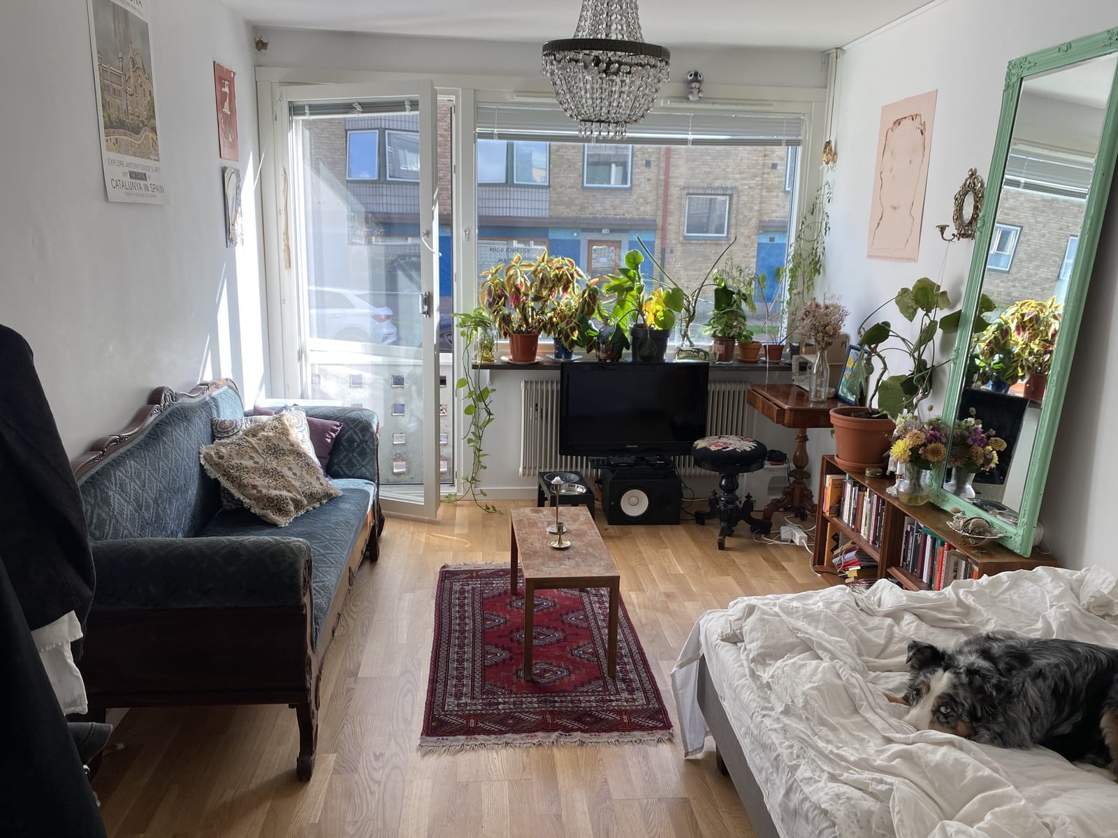 Lägenhet, 1 rooms, 21 sqm, Malmö