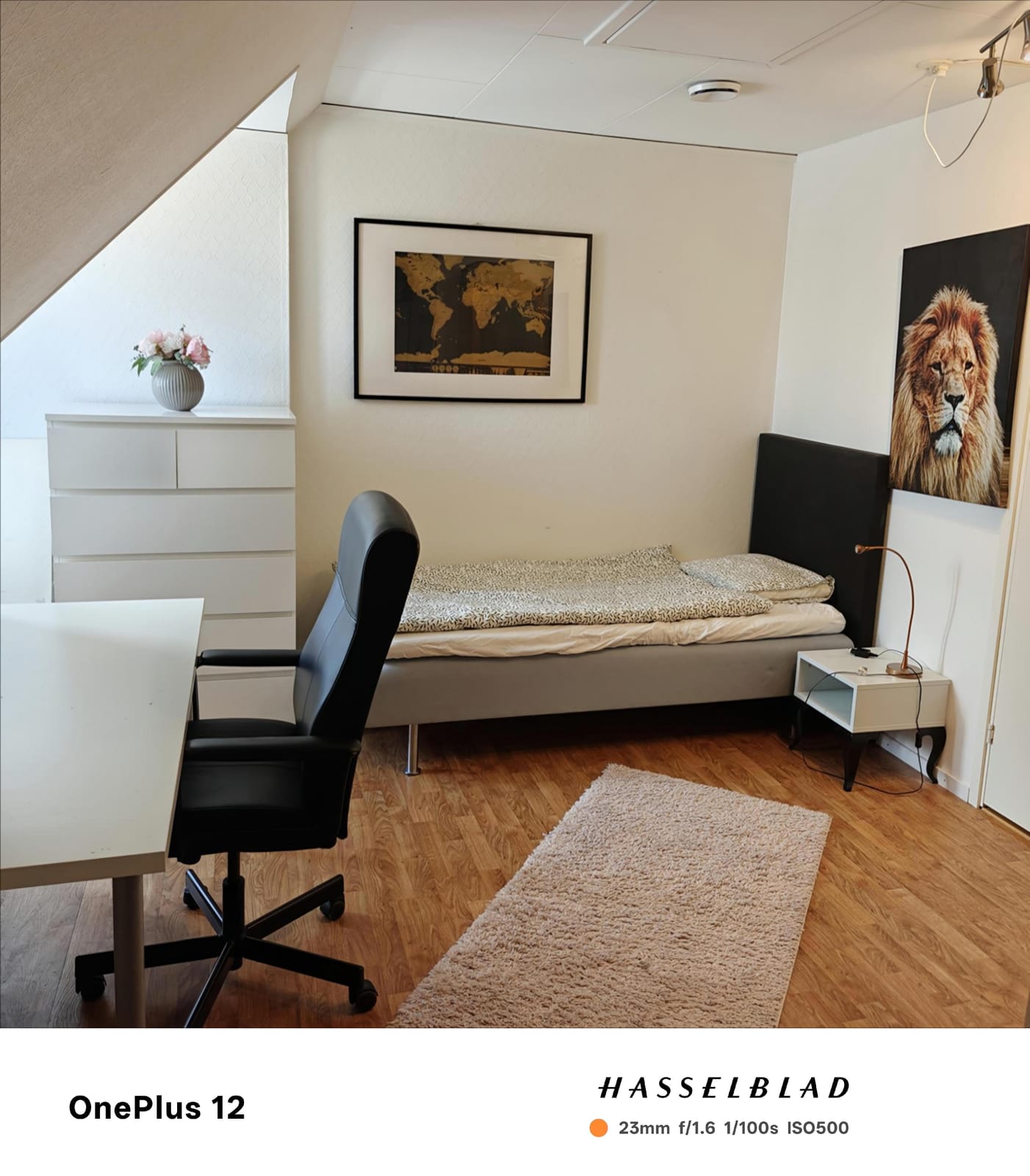 1 rok · 18 m² i Malmö