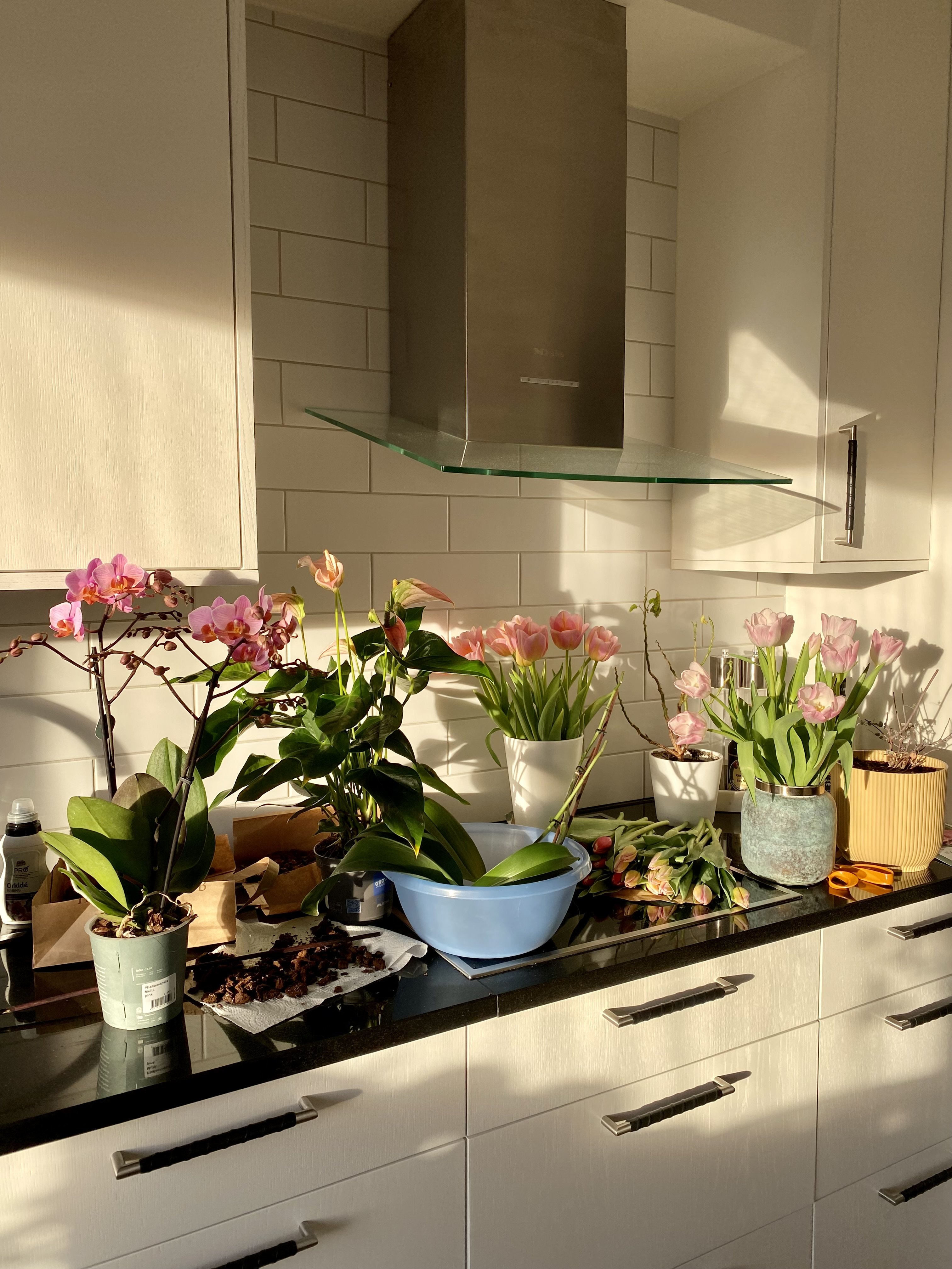 Lägenhet, 3 rooms, 74 sqm, Nyköping – bild 20