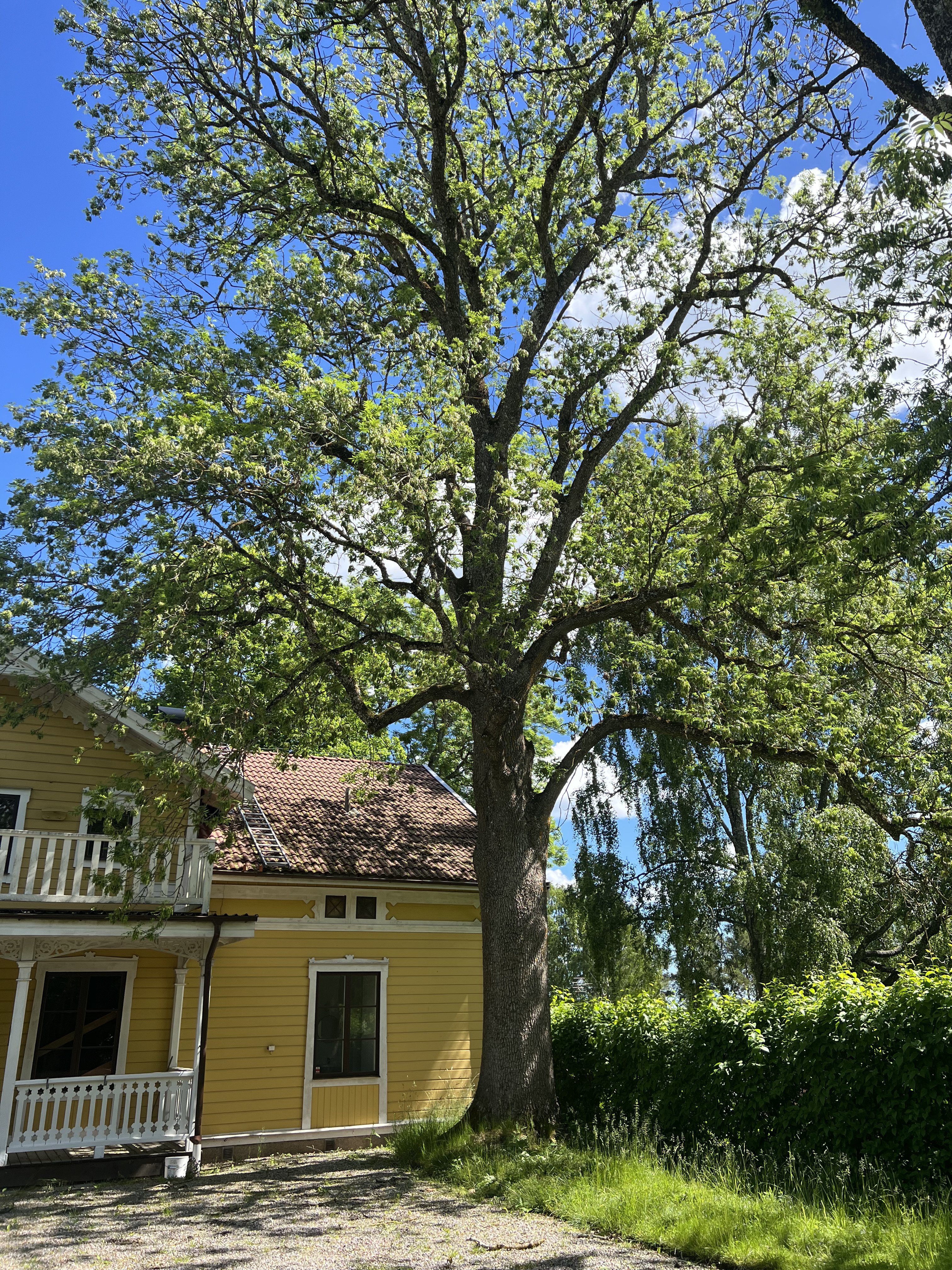 Villa/Hus, 9 rooms, 400 sqm, Sörmland – bild 15
