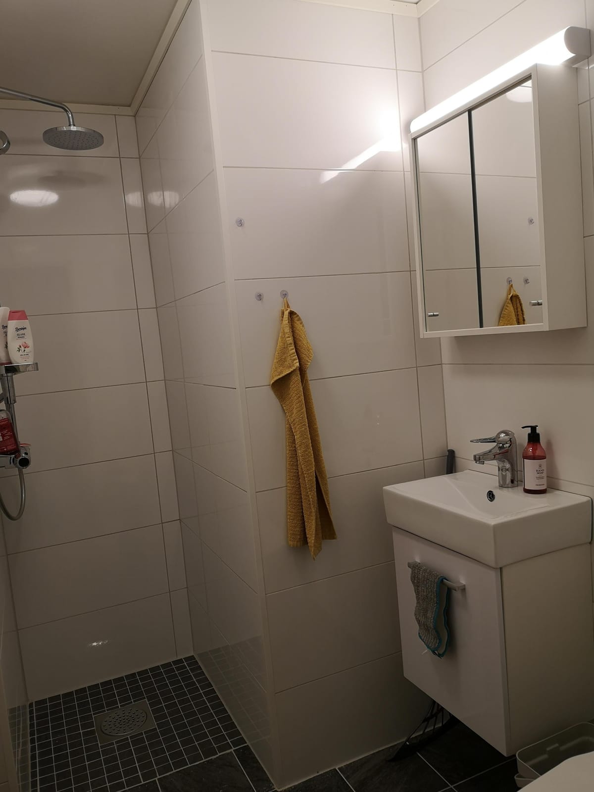 1 rok · 17 m² i Åseda – bild 6
