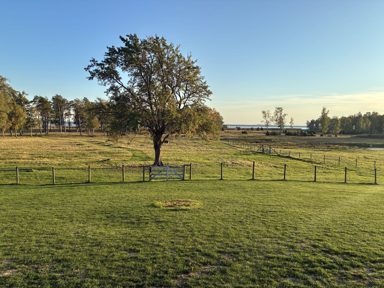 7 rok · 220 m² i Vadstena – bild 2