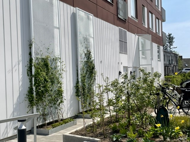 Lägenhet, 2 rooms, 62 sqm, Ystad – bild 13