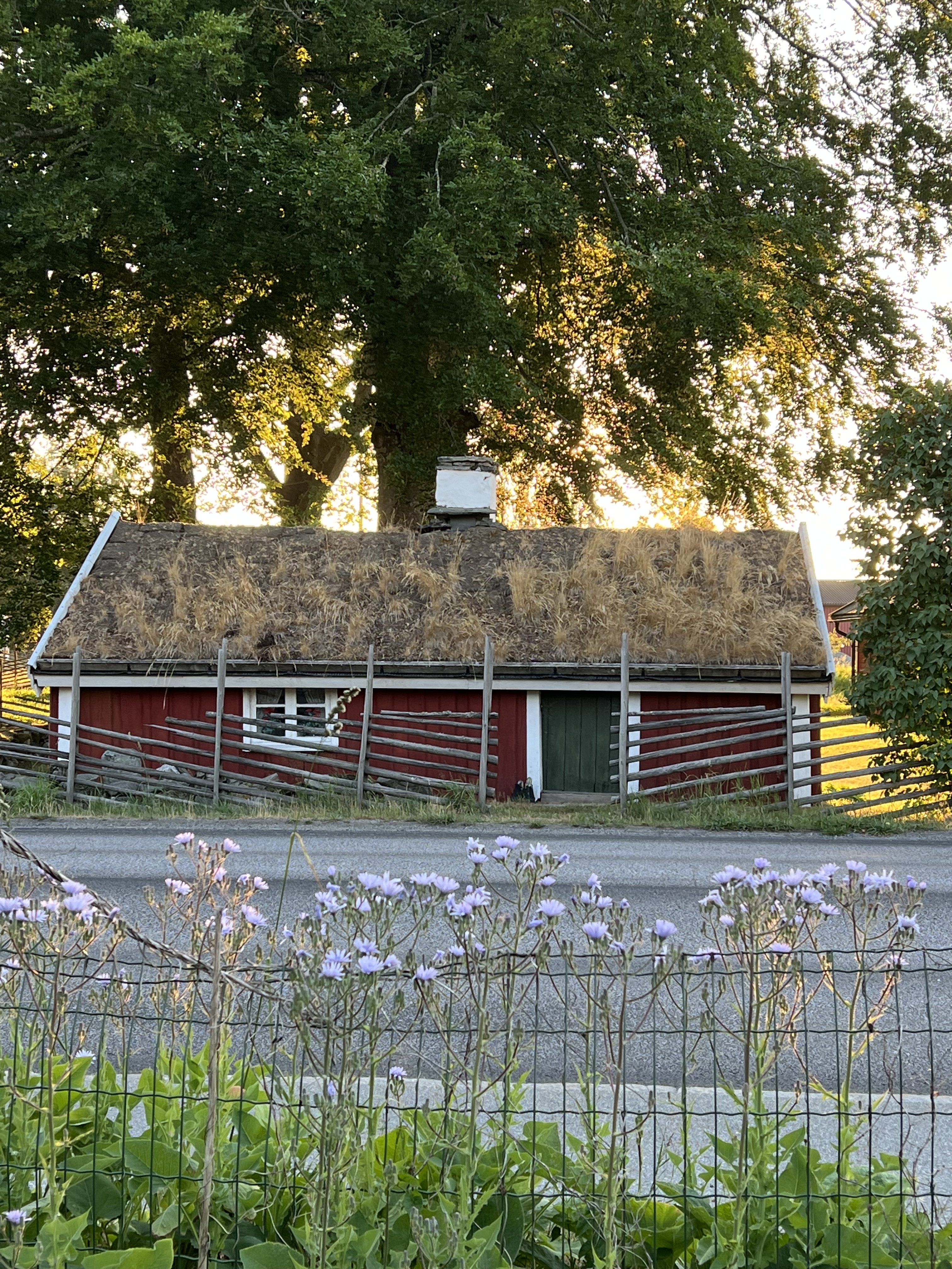 Villa/Hus, 4 rooms, 80 sqm, Björketorp – bild 19
