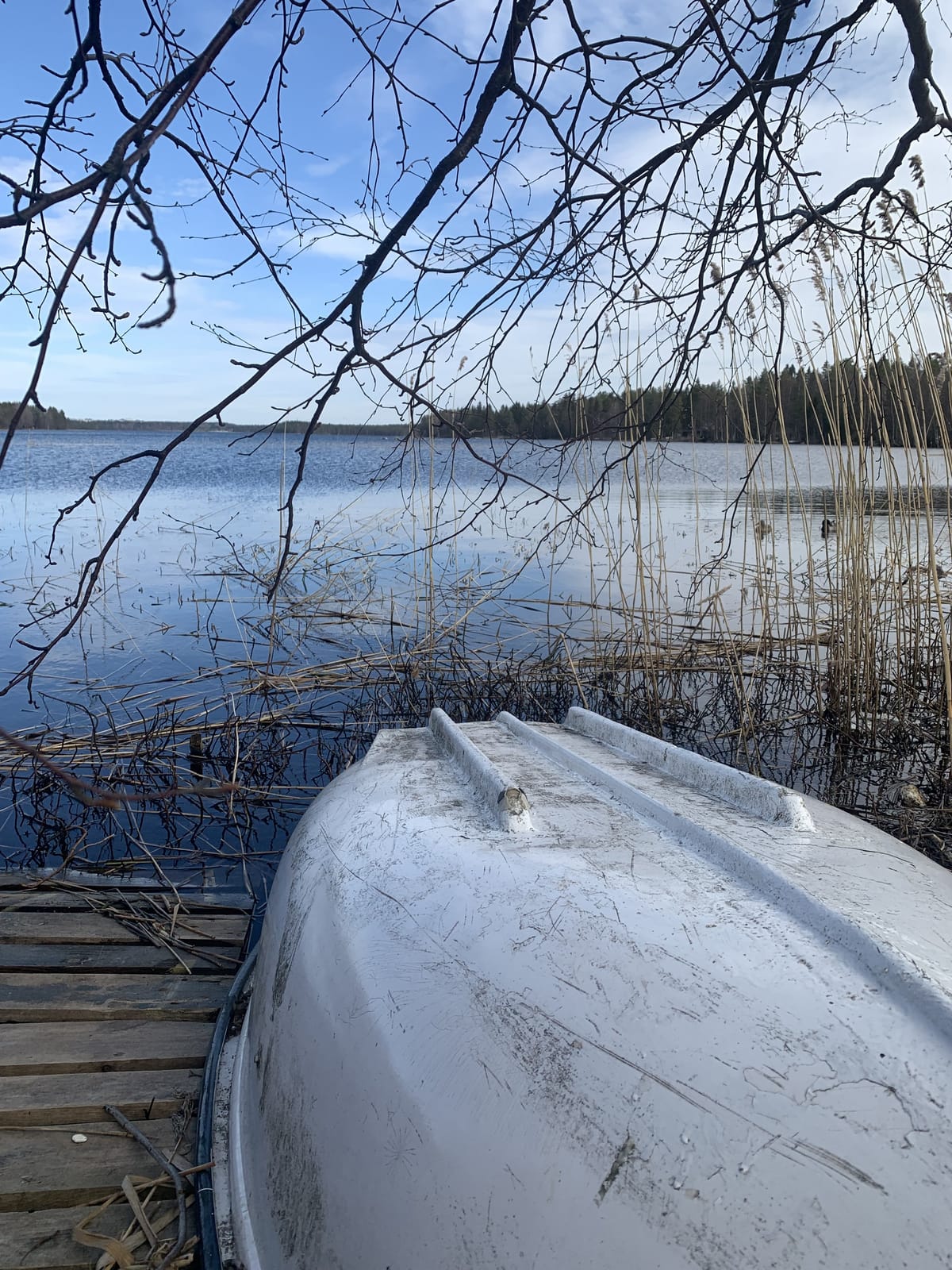 4 rok · 65 m² i Umeå – bild 9