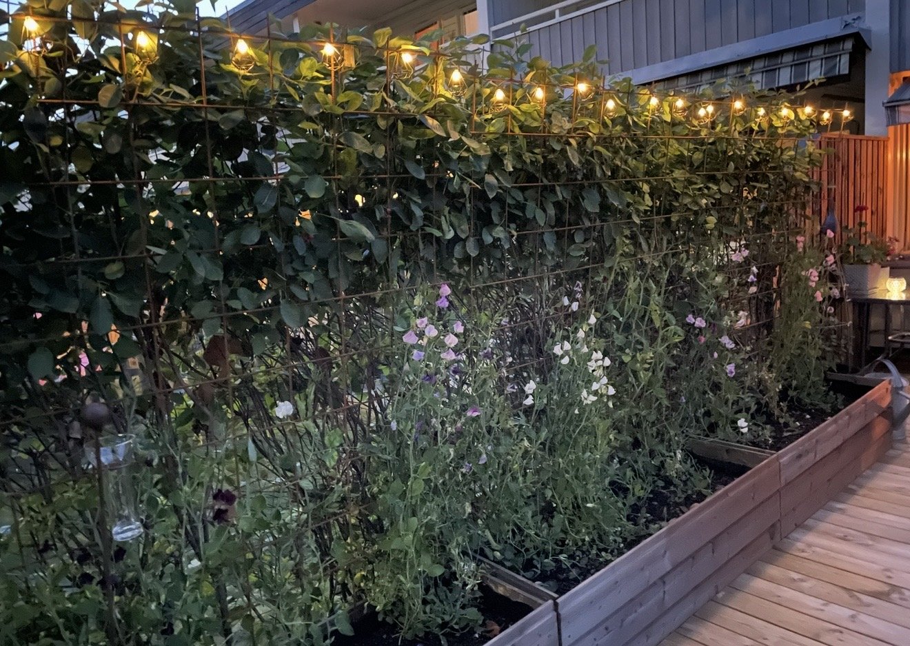 Radhus, 4 rooms, 99 sqm, Segeltorp – bild 7