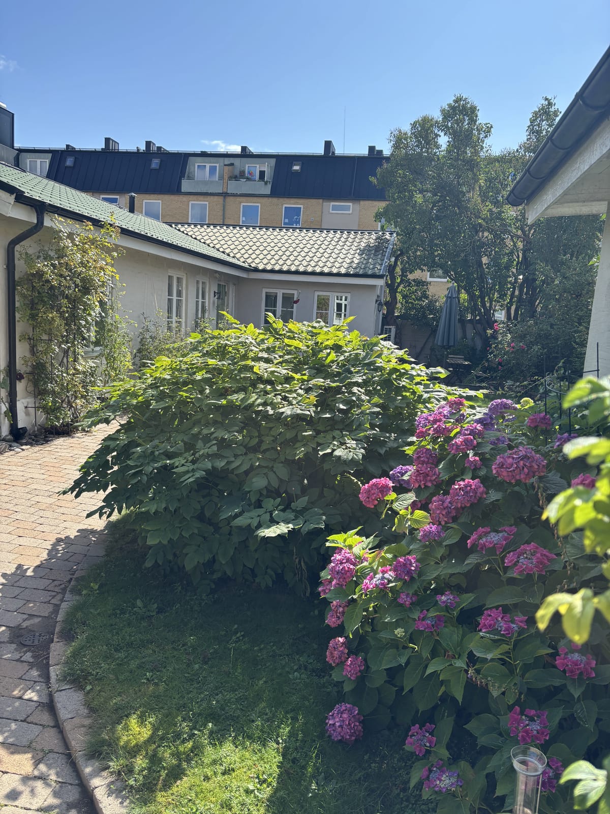 2 rok · 50 m² i Ängelholm – bild 9