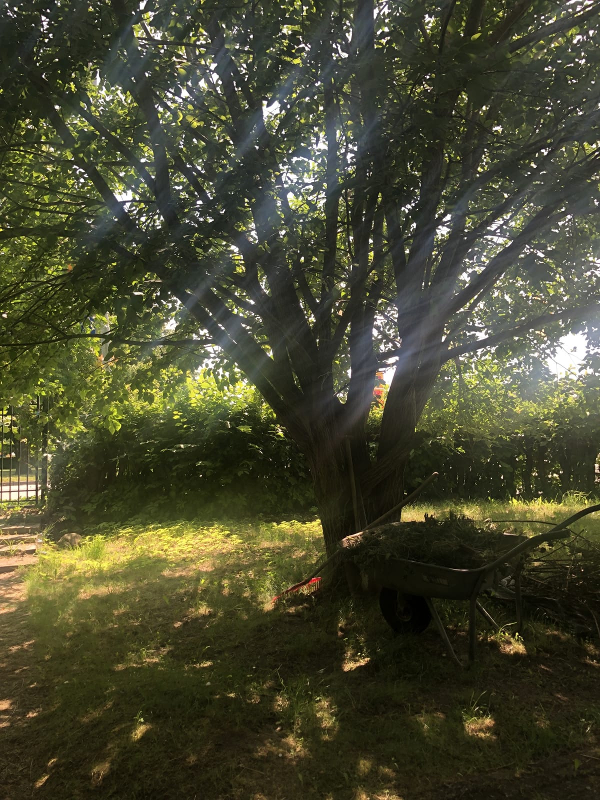 2 rok · 75 m² i Svalöv – bild 8