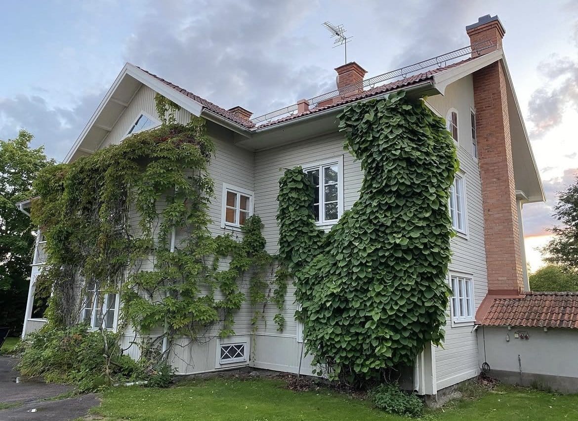 7 rok · 280 m² i Björbo – bild 15