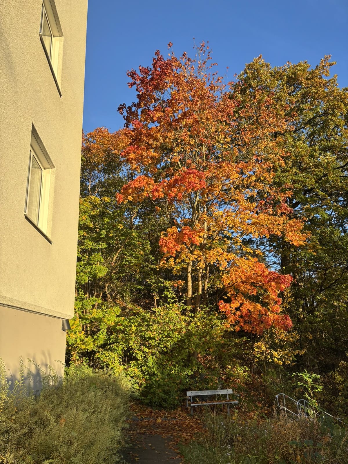 3 rok · 67 m² i Göteborg – bild 2