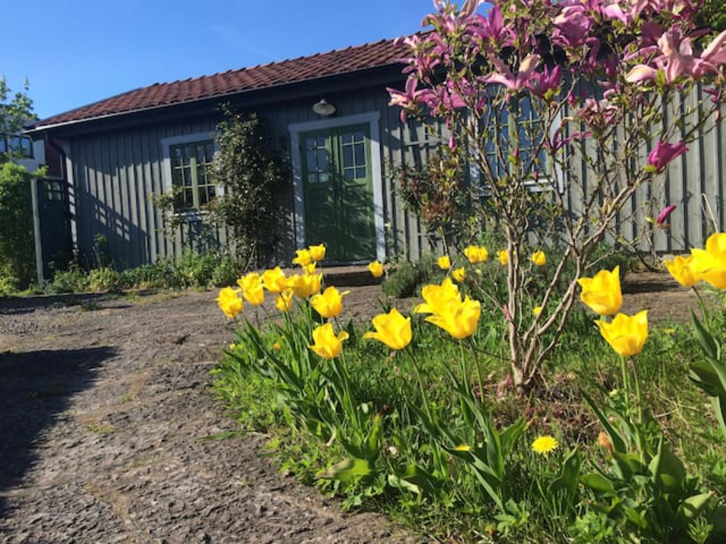 Stuga, 3 rooms, 80 sqm, Färjestaden – bild 2