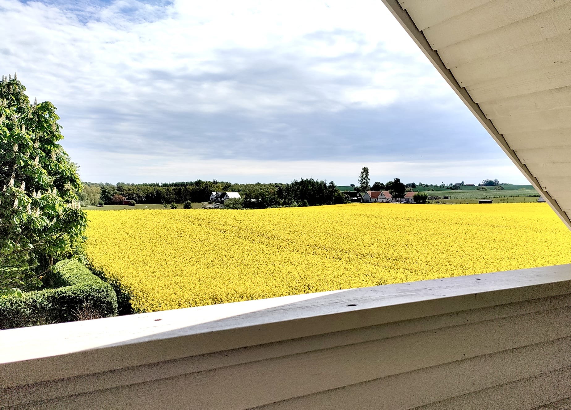 Lägenhet, 2 rooms, 67 sqm, Ystad – bild 9