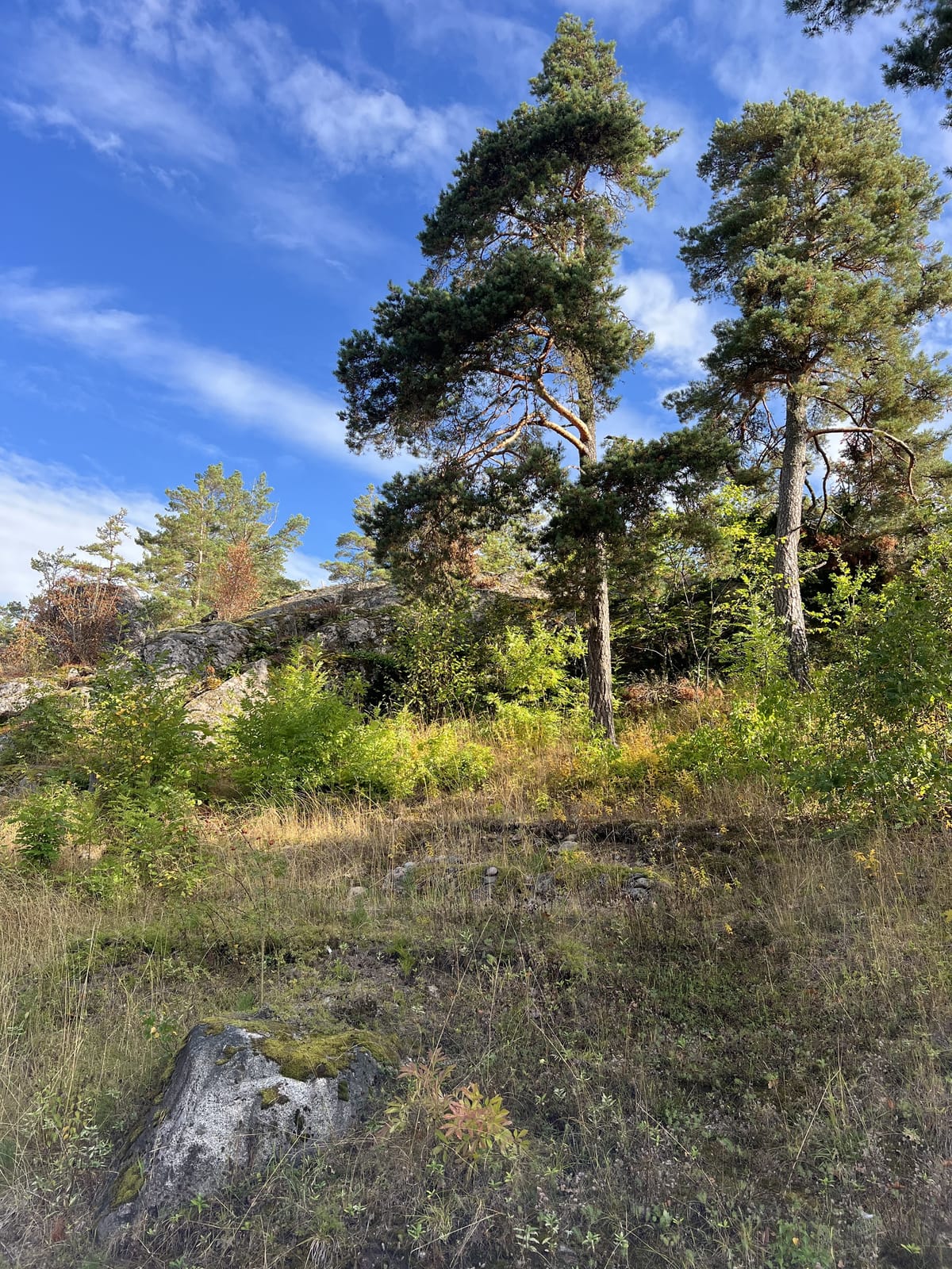 7 rok · 200 m² i Vagnhärad – bild 14