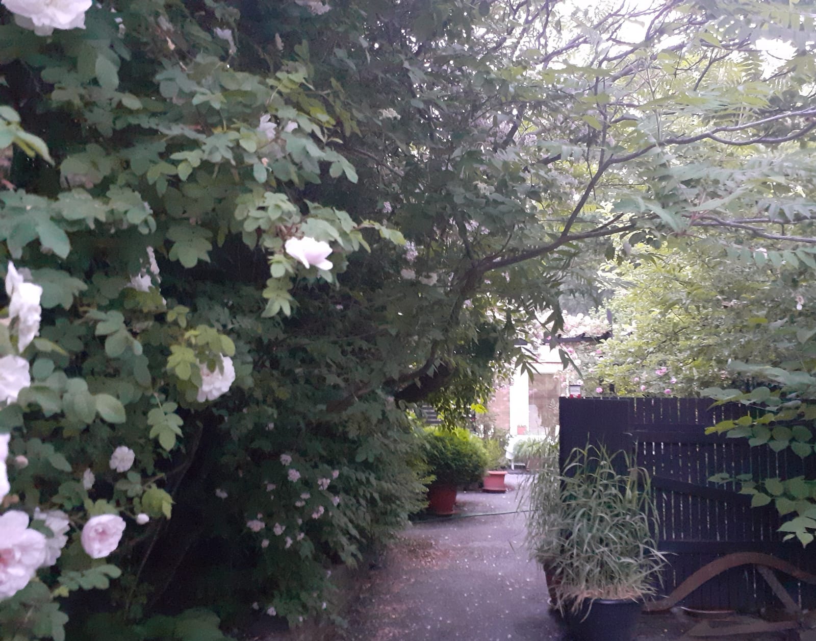 1 rok · 44 m² i Adelsö – bild 2