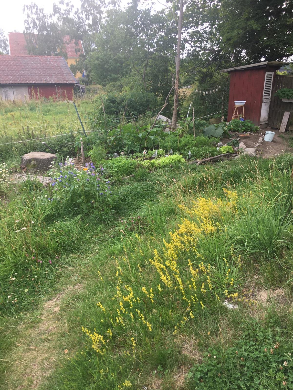 Stuga, 2 rooms, 35 sqm, Färentuna – bild 12
