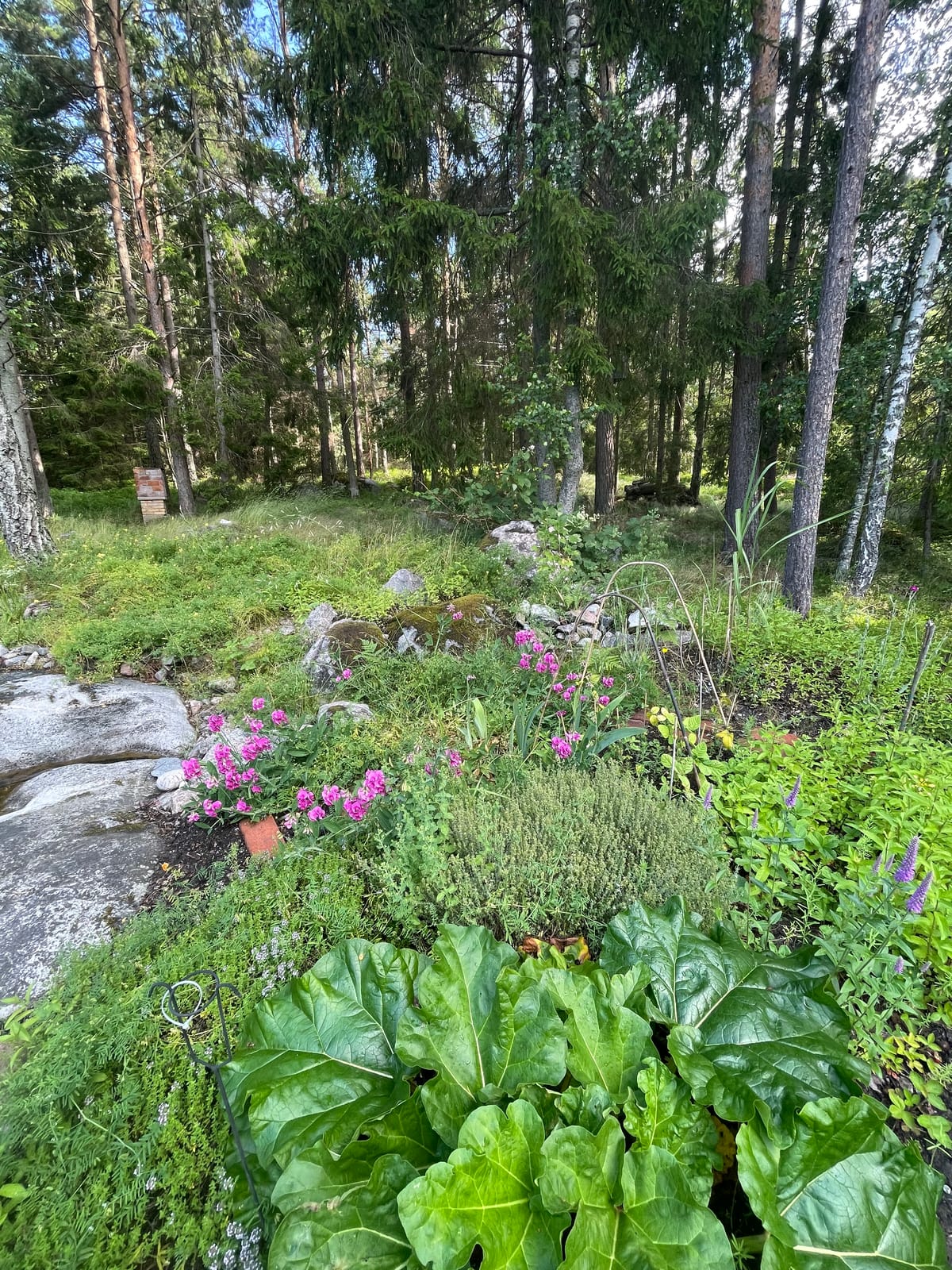 2 rok · 31 m² i Djurhamn – bild 17