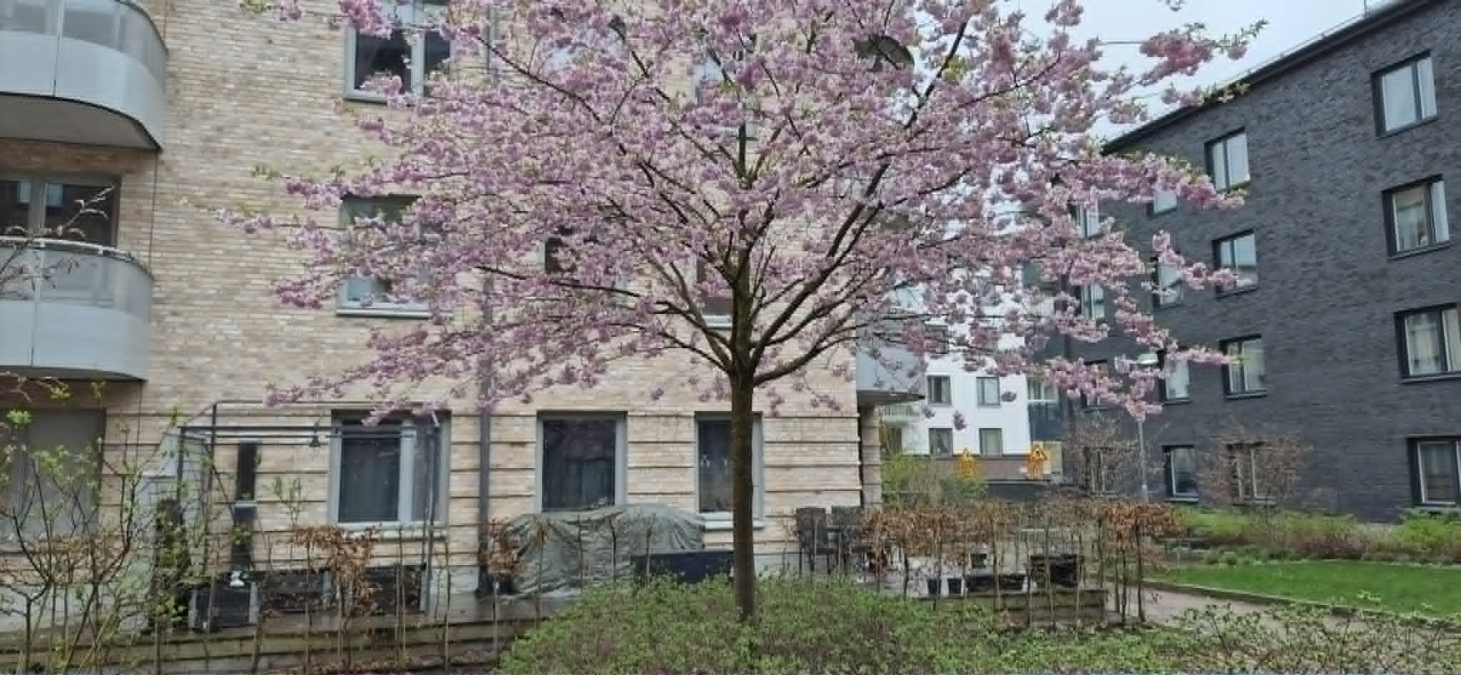 3 rok · 73 m² i Järfälla – Järfälla