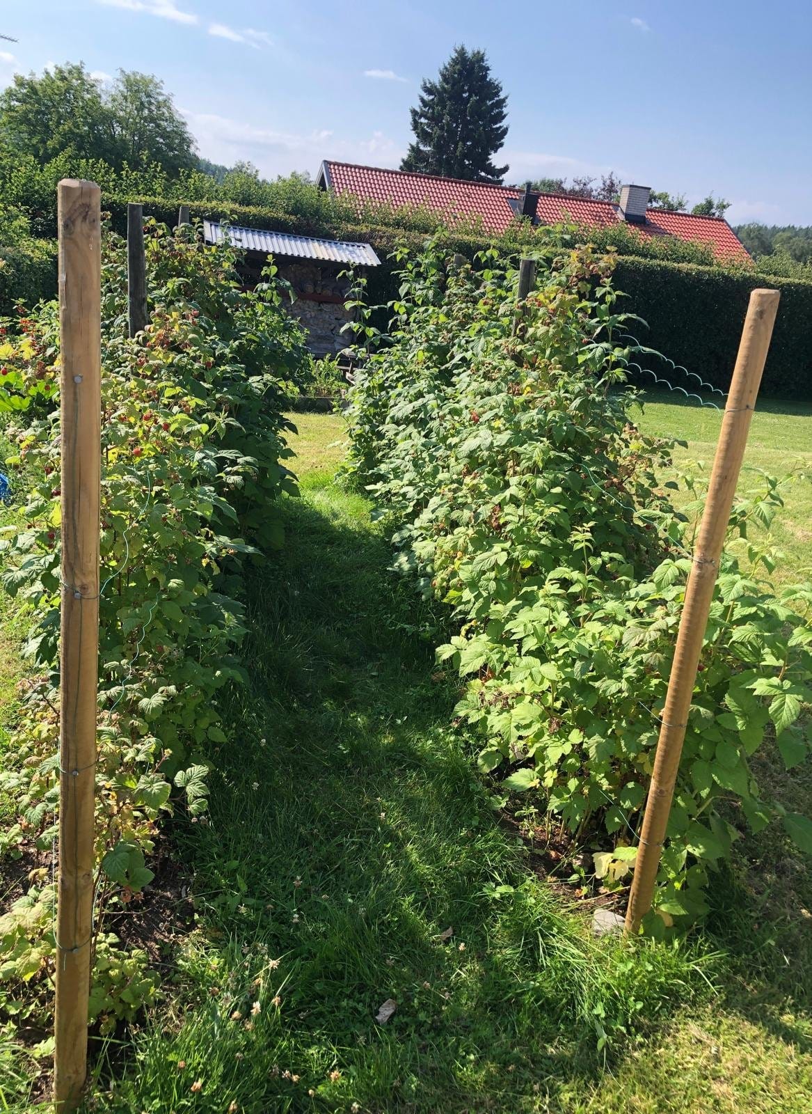 7 rok · 114 m² i Ludvika – bild 20